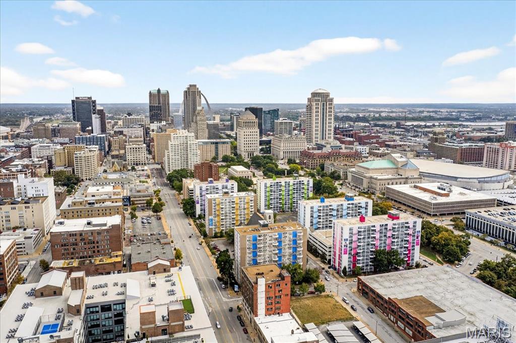 210 North 17th Street, Unit 901 St. Louis, MO 63103 - Photo 27 of 29
