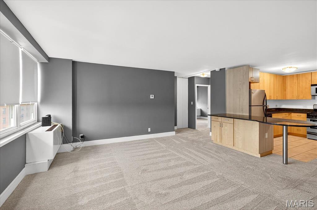 210 North 17th Street, Unit 901 St. Louis, MO 63103 - Photo 3 of 29