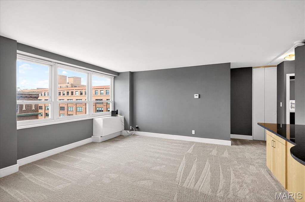 210 North 17th Street, Unit 901 St. Louis, MO 63103 - Photo 5 of 29