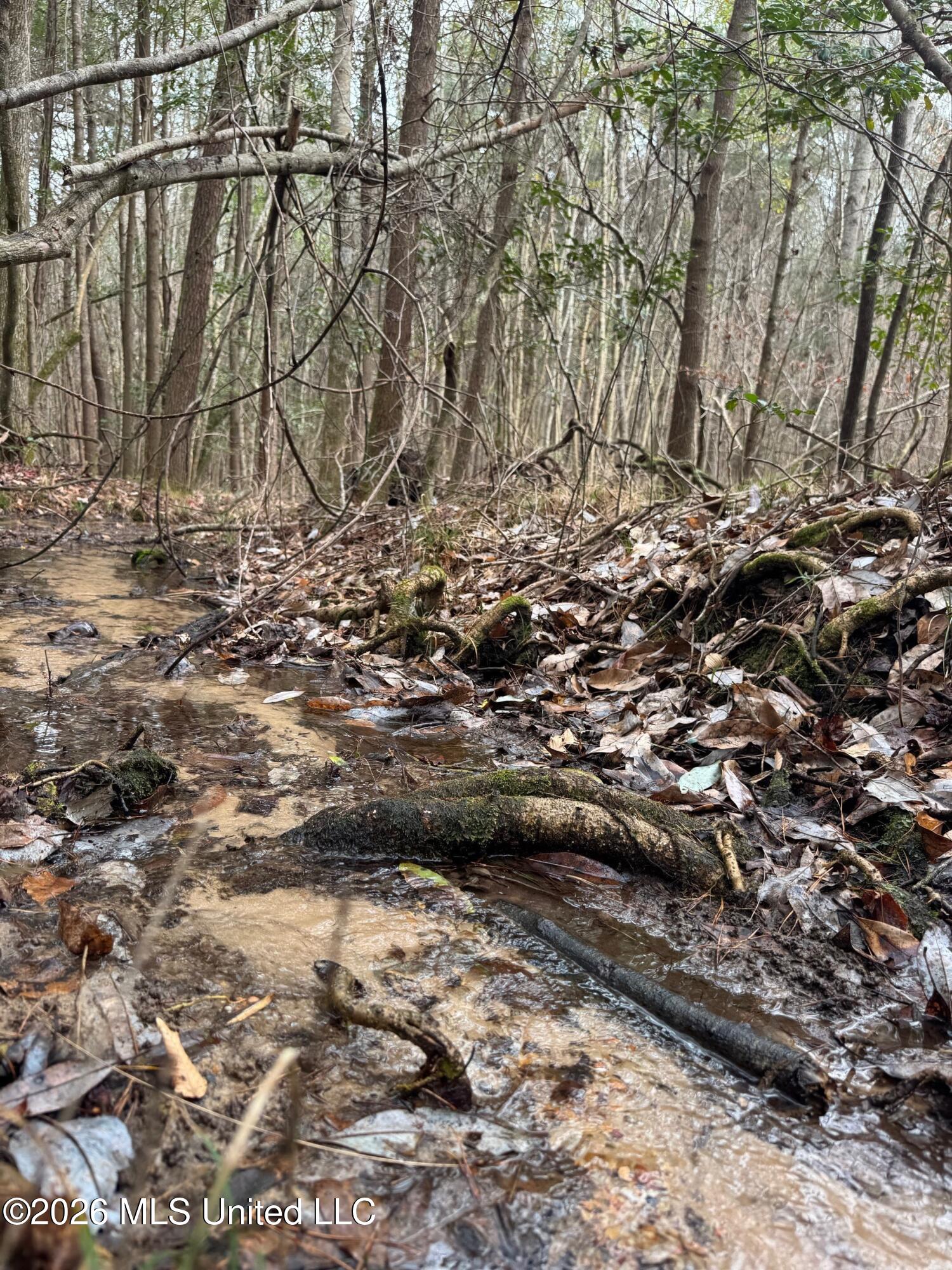 5 County Road 16 Pachuta, MS 39347 - Photo 11 of 12 cr 16 2