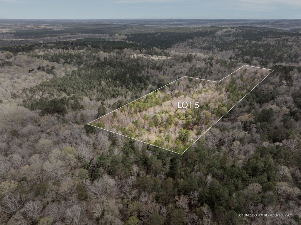 5 County Road 16 Pachuta, MS 39347 - Photo 2 of 12 Photo 2
