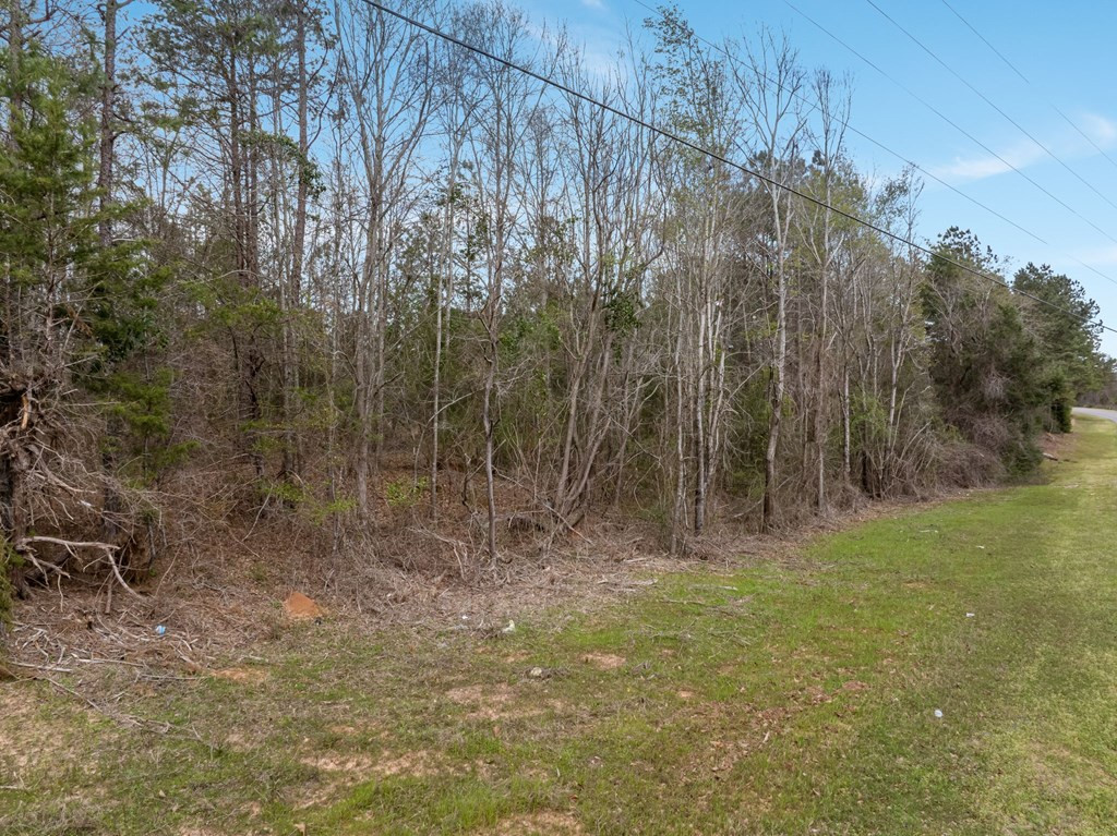 5 County Road 16 Pachuta, MS 39347 - Photo 4 of 12 Photo 4