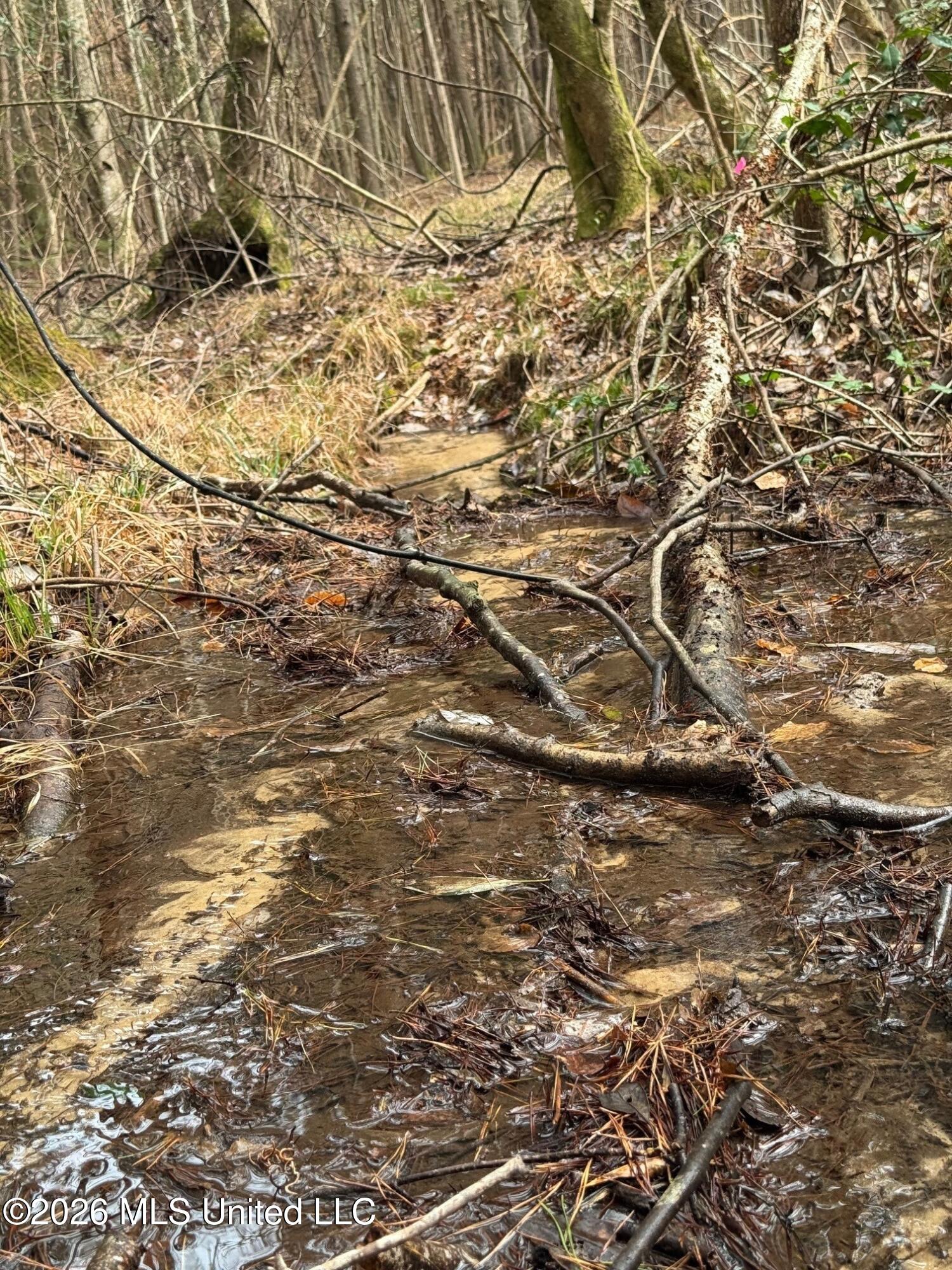 5 County Road 16 Pachuta, MS 39347 - Photo 9 of 12 cr 16 4