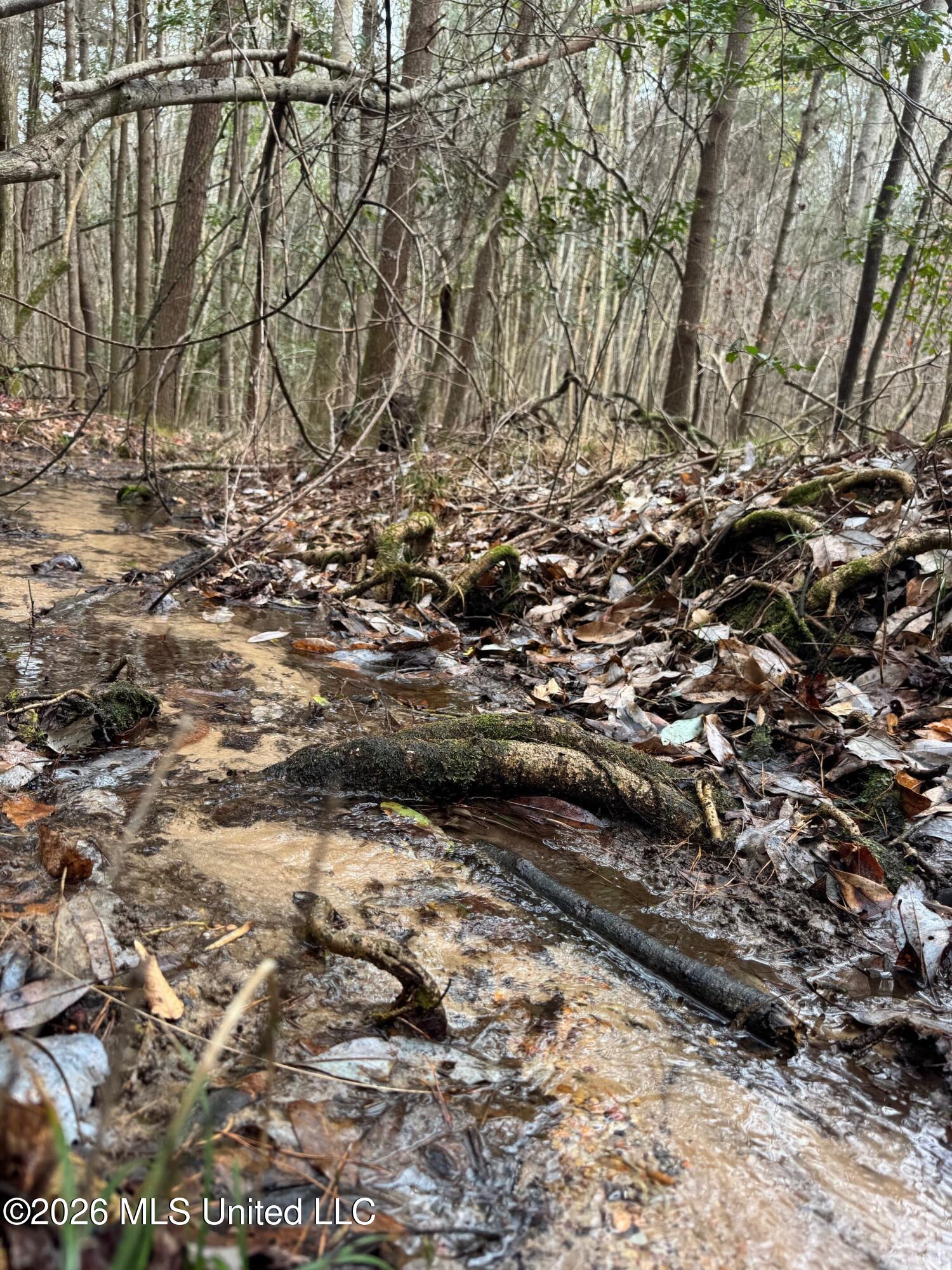 5 County Road 16 Pachuta, MS 39347 - Photo 10 of 12 cr 16 3