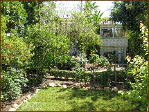 1332 Alta Vista Road Santa Barbara, CA 93103 - Photo 12 of 12 Backyard