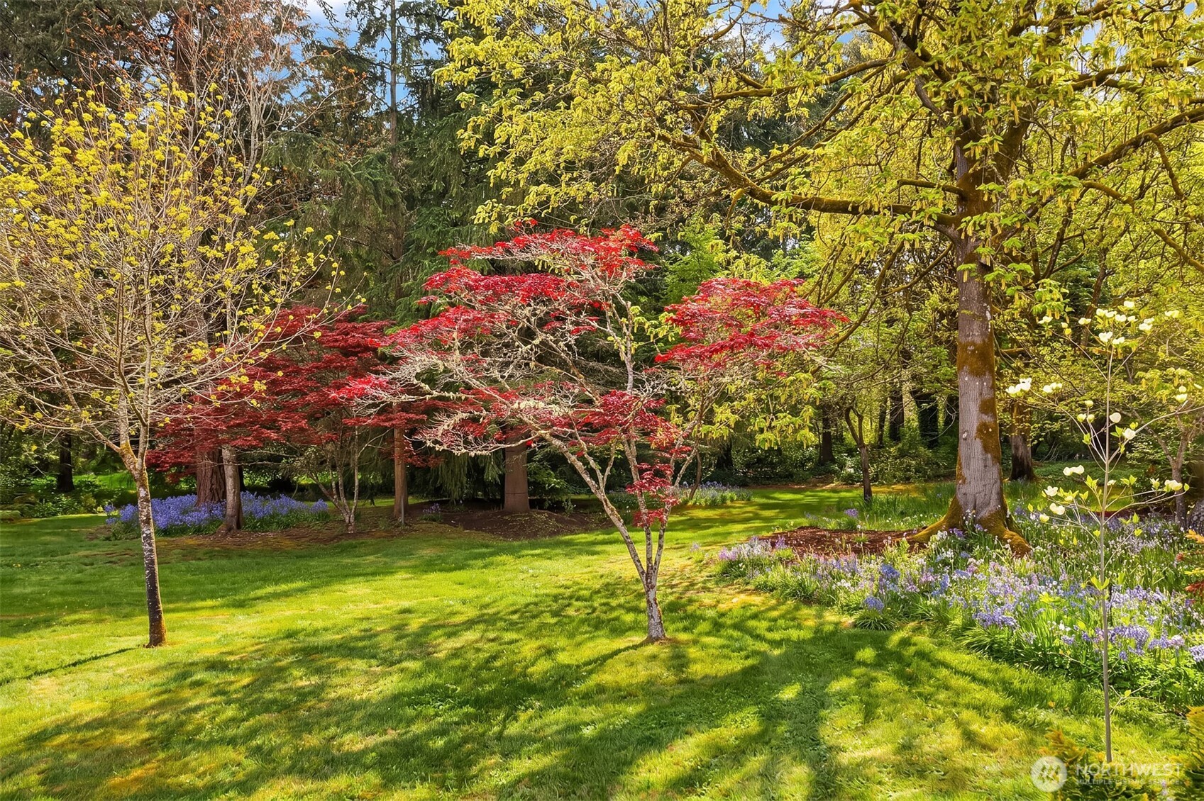 8425 Southwest 216th Street Vashon, WA 98070 - Photo 33 of 40 a backyard of a house with lots of green space