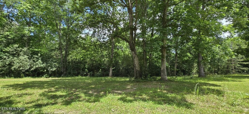 350 Rector Lane Helenwood, TN 37755 - Photo 6 of 21 20260616_144235