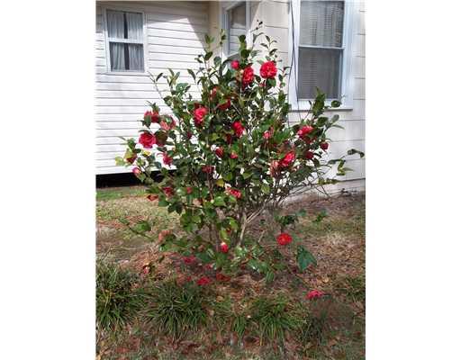16207 West Hayes Road Kentwood, LA 70444 - Photo 16 of 23 Gallery Image 16