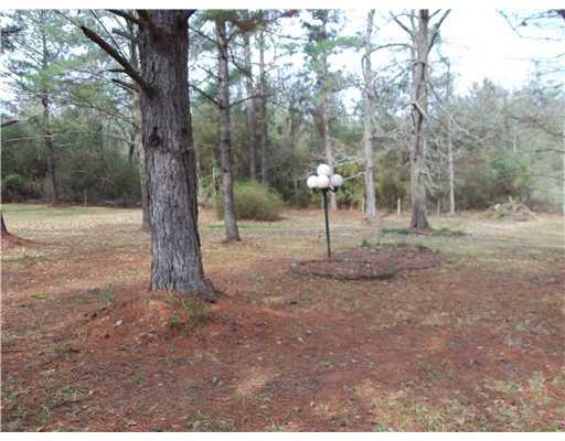 16207 West Hayes Road Kentwood, LA 70444 - Photo 3 of 23 Gallery Image 3