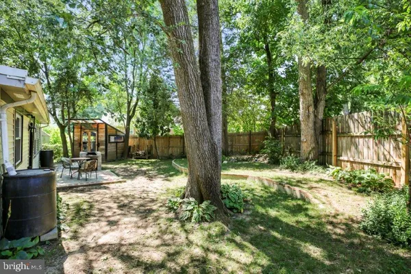 a view of a yard with plants and trees