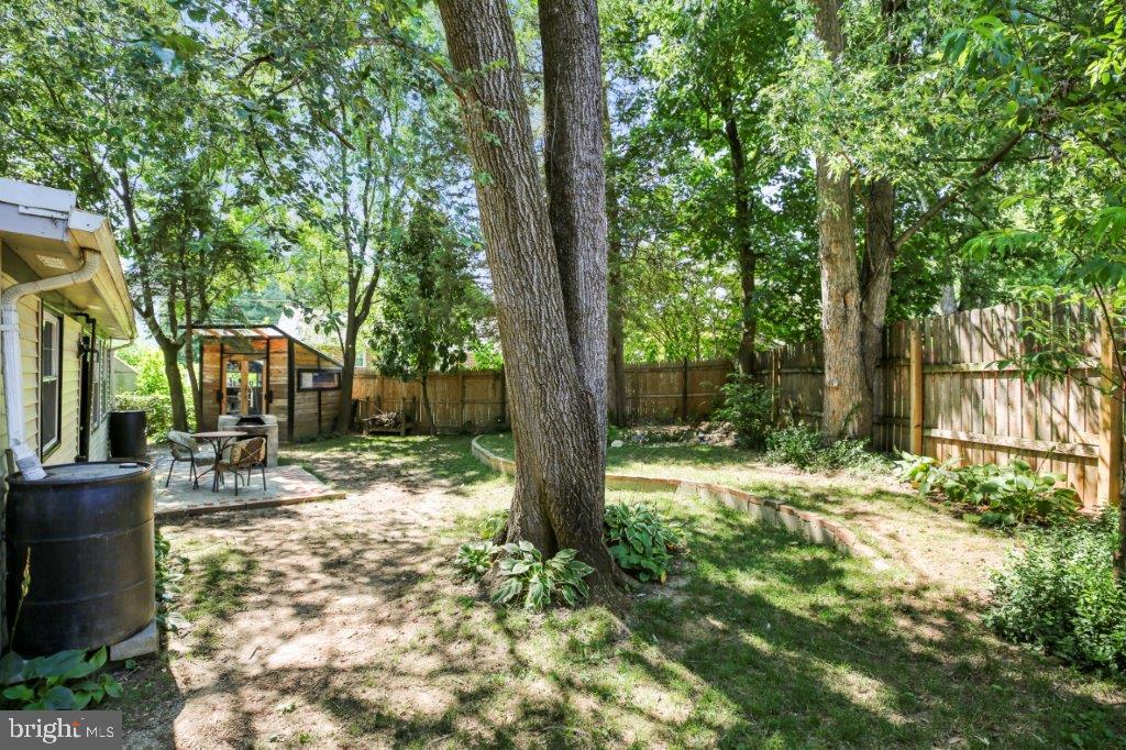 3303 Janet Road Silver Spring, MD 20906 - Photo 28 of 31 a view of a yard with plants and trees