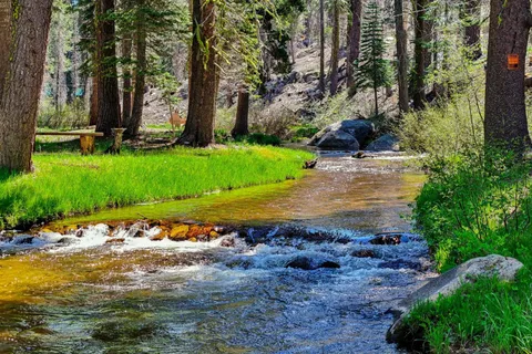 $125,000 | 7236 Sayles Canyon Trail, Twin Bridges, CA 95735