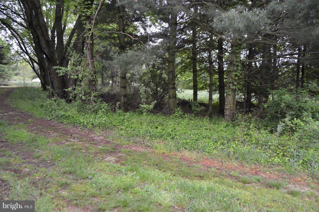 88 Groff Farm Road Conowingo, MD 21918 - Photo 3 of 8 View