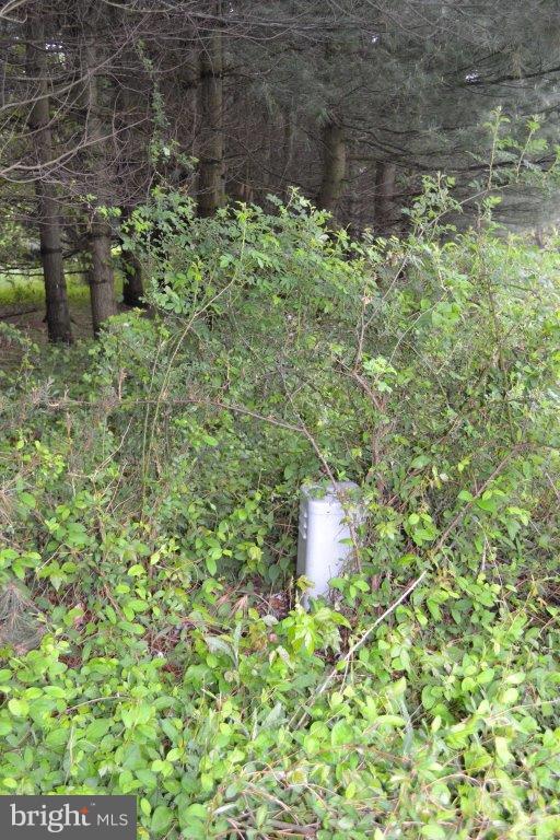 88 Groff Farm Road Conowingo, MD 21918 - Photo 6 of 8 View