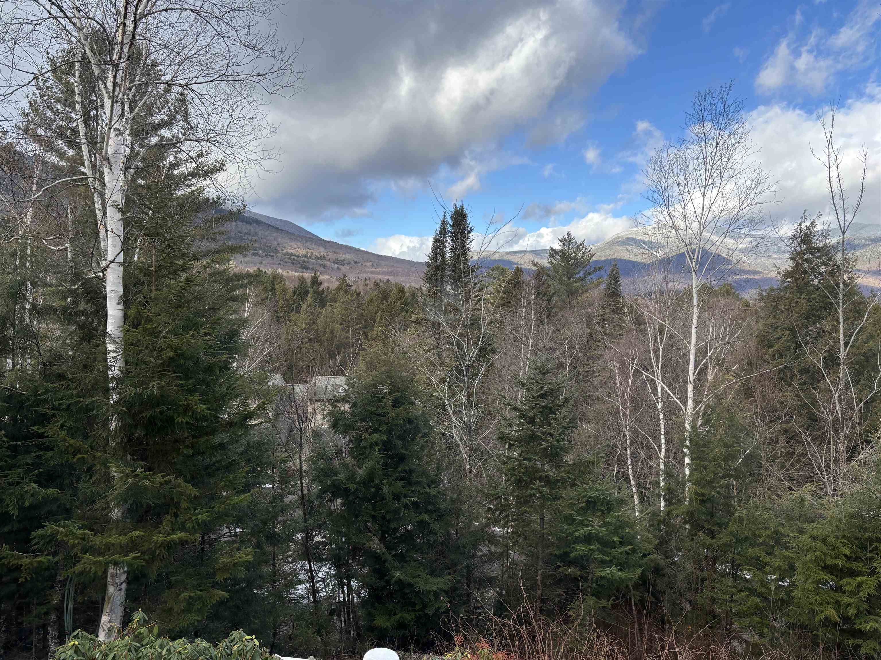 20 Pine Tree Way Waterville Valley, NH 03215 - Photo 34 of 39