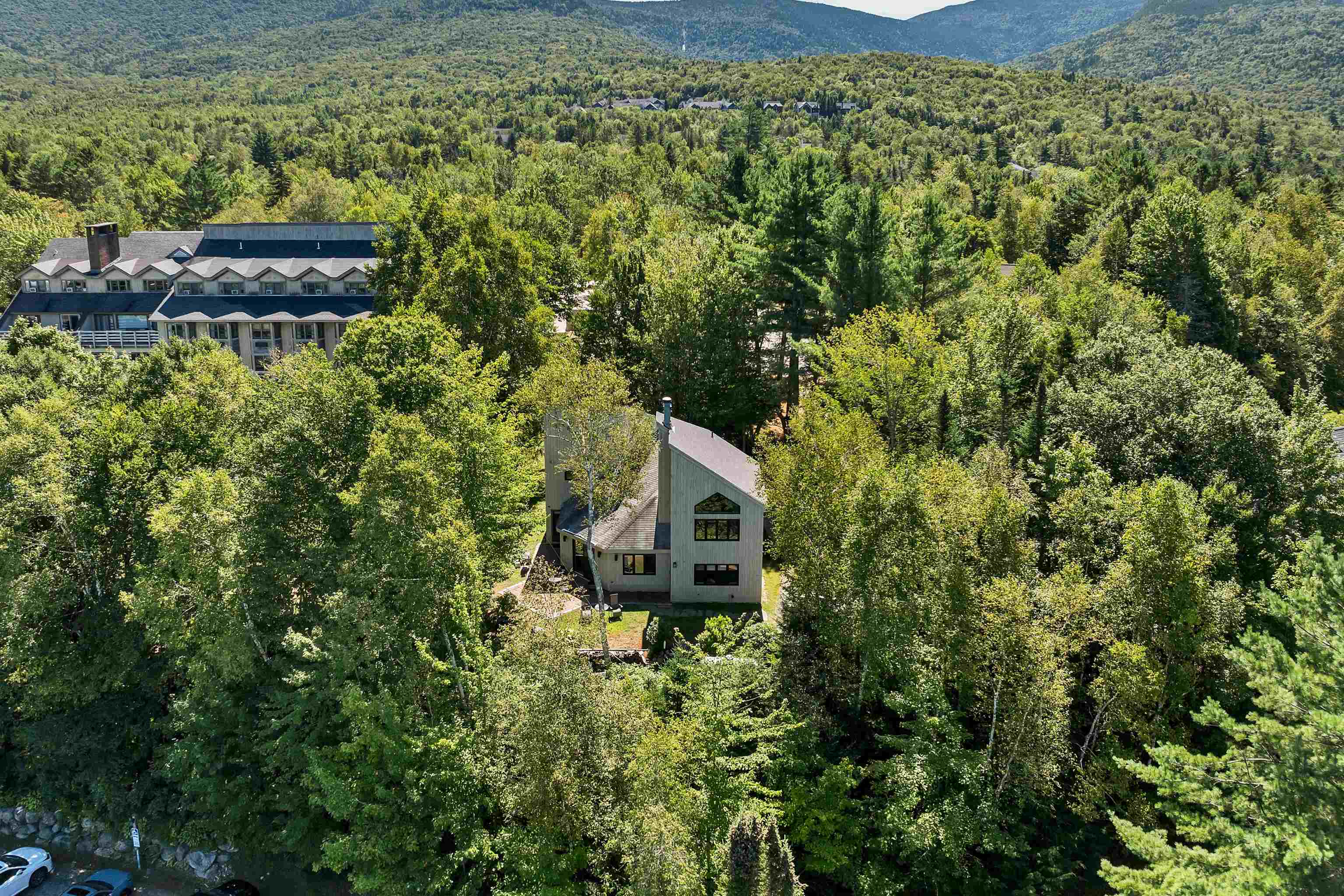 20 Pine Tree Way Waterville Valley, NH 03215 - Photo 37 of 39