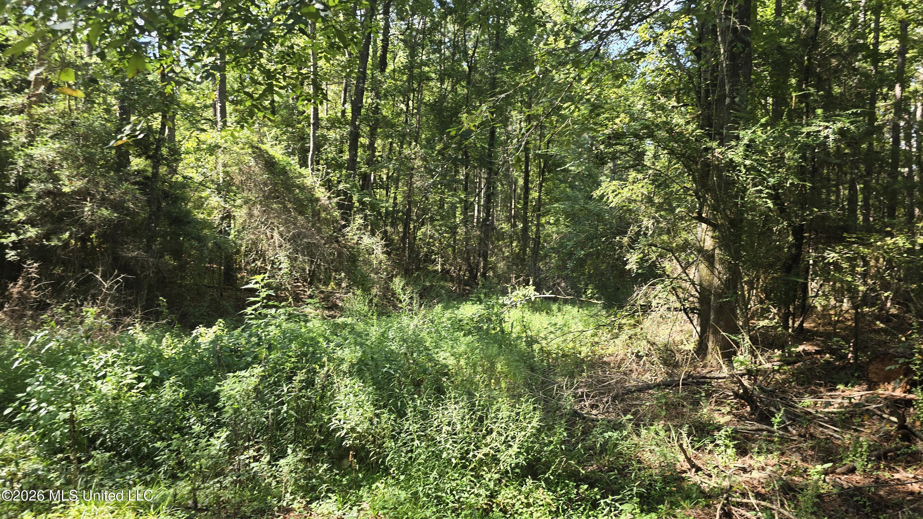 3190 Northeast Quentin Tower Road McCall Creek, MS 39647 - Photo 1 of 33 20260811_100304