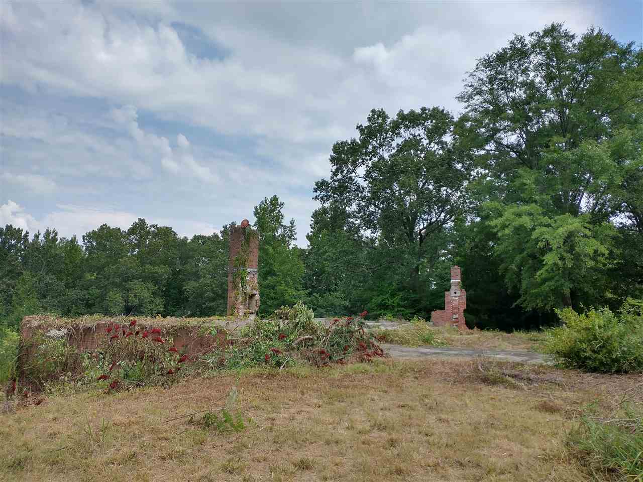 4490 Raleigh Lagrange Drive Collierville, TN 38017 - Photo 5 of 11 Gallery Image 5