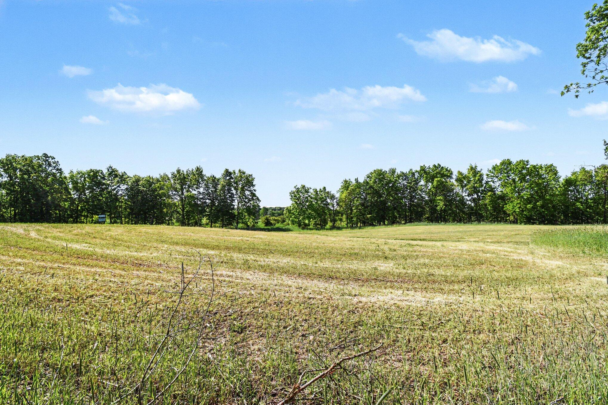 0 East Charles Road Ionia, MI 48846 - Photo 7 of 25 005_file_5559