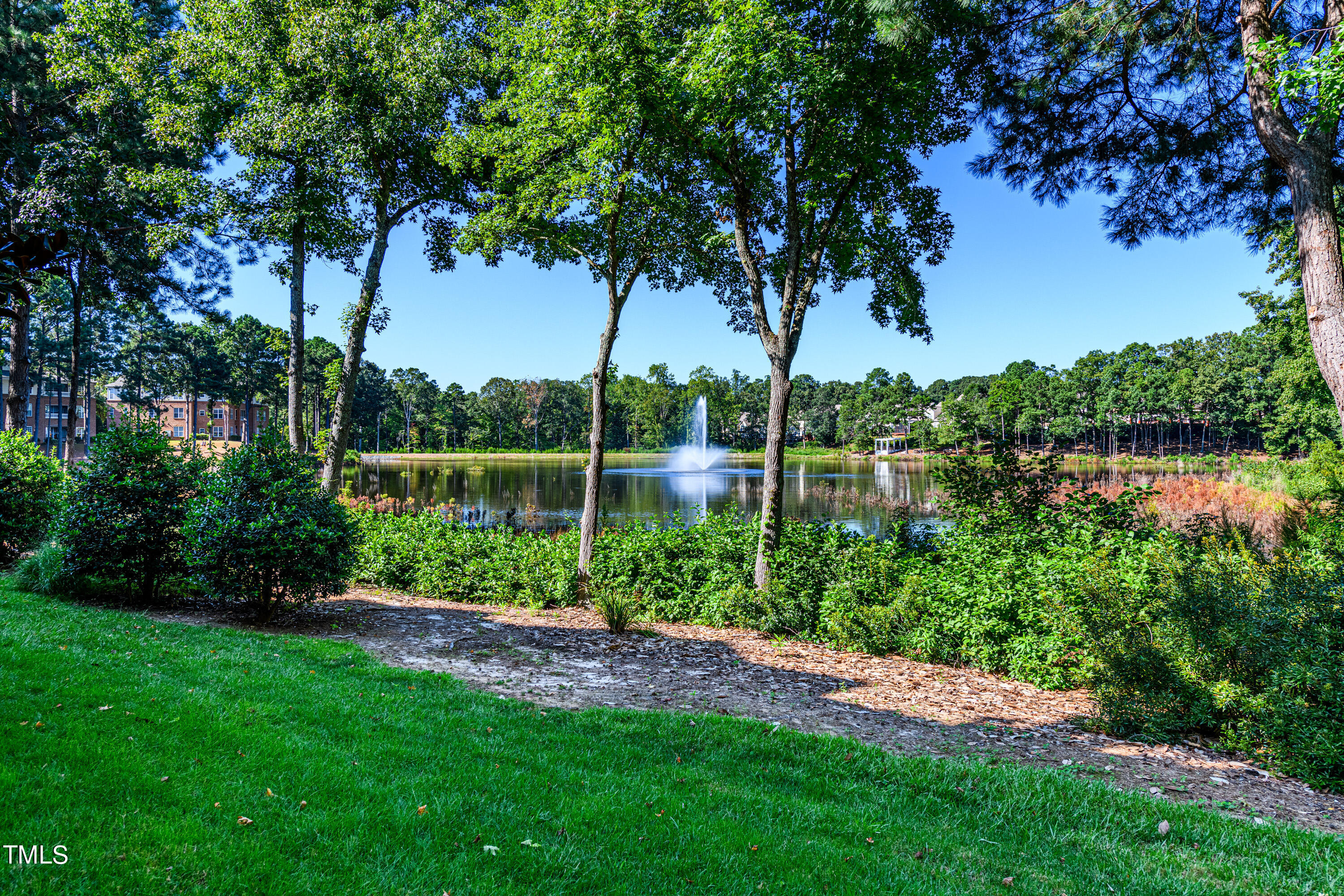 8231 Allyns Landing Way, Unit 301 Raleigh, NC 27615 - Photo 30 of 32 030_Back Yard