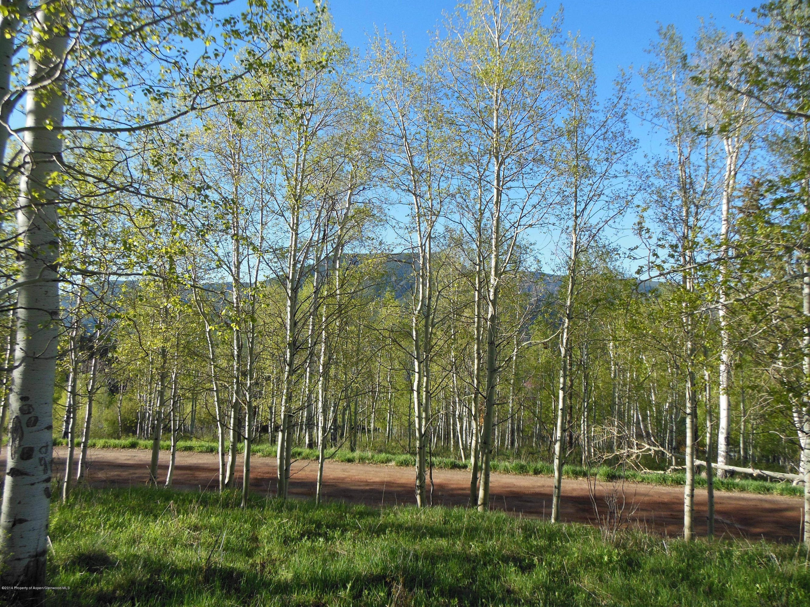 DSCN0383