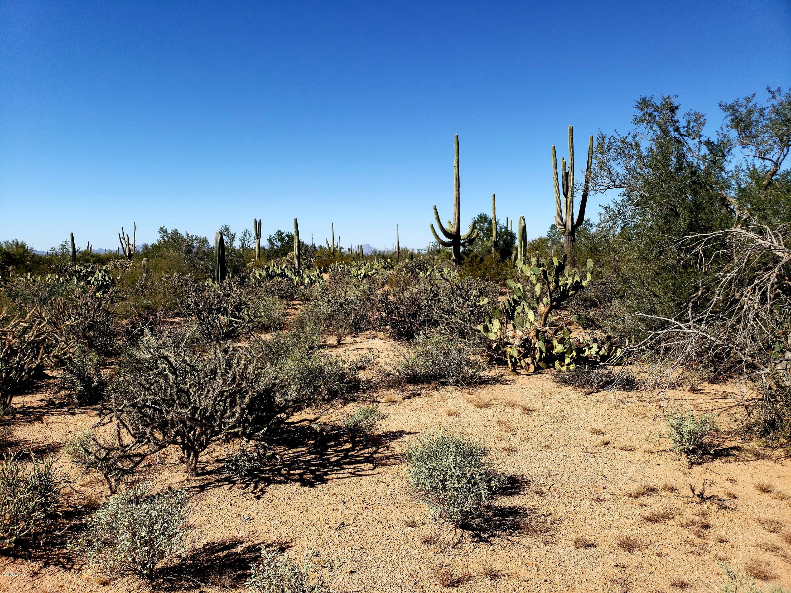 12200-blk West Fort Lowell Road Tucson, AZ 85743 - Photo 11 of 14