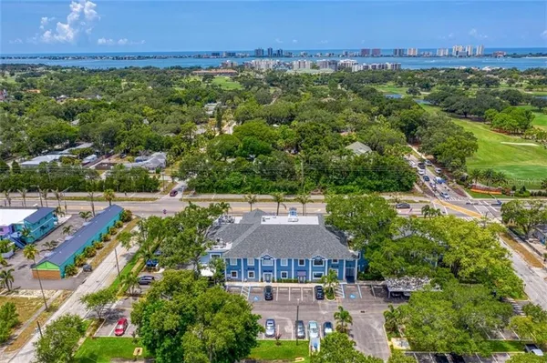 a view of staircase with wooden floor and a potted plant