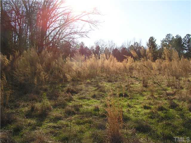 open area with grasses