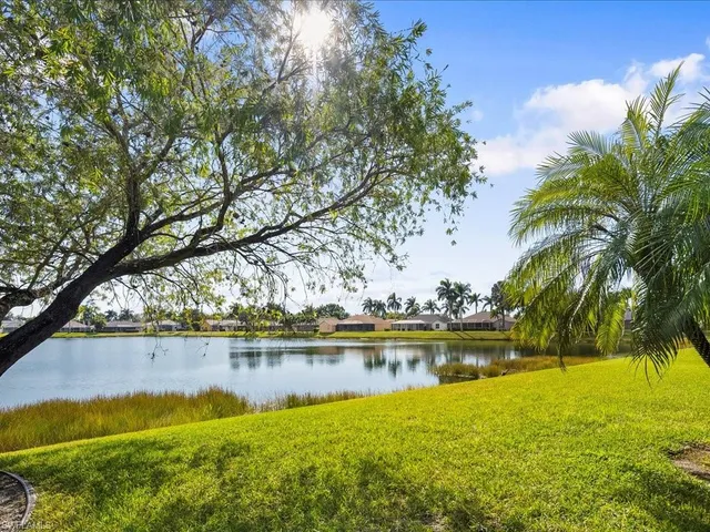 a view of a yard with an outdoor space