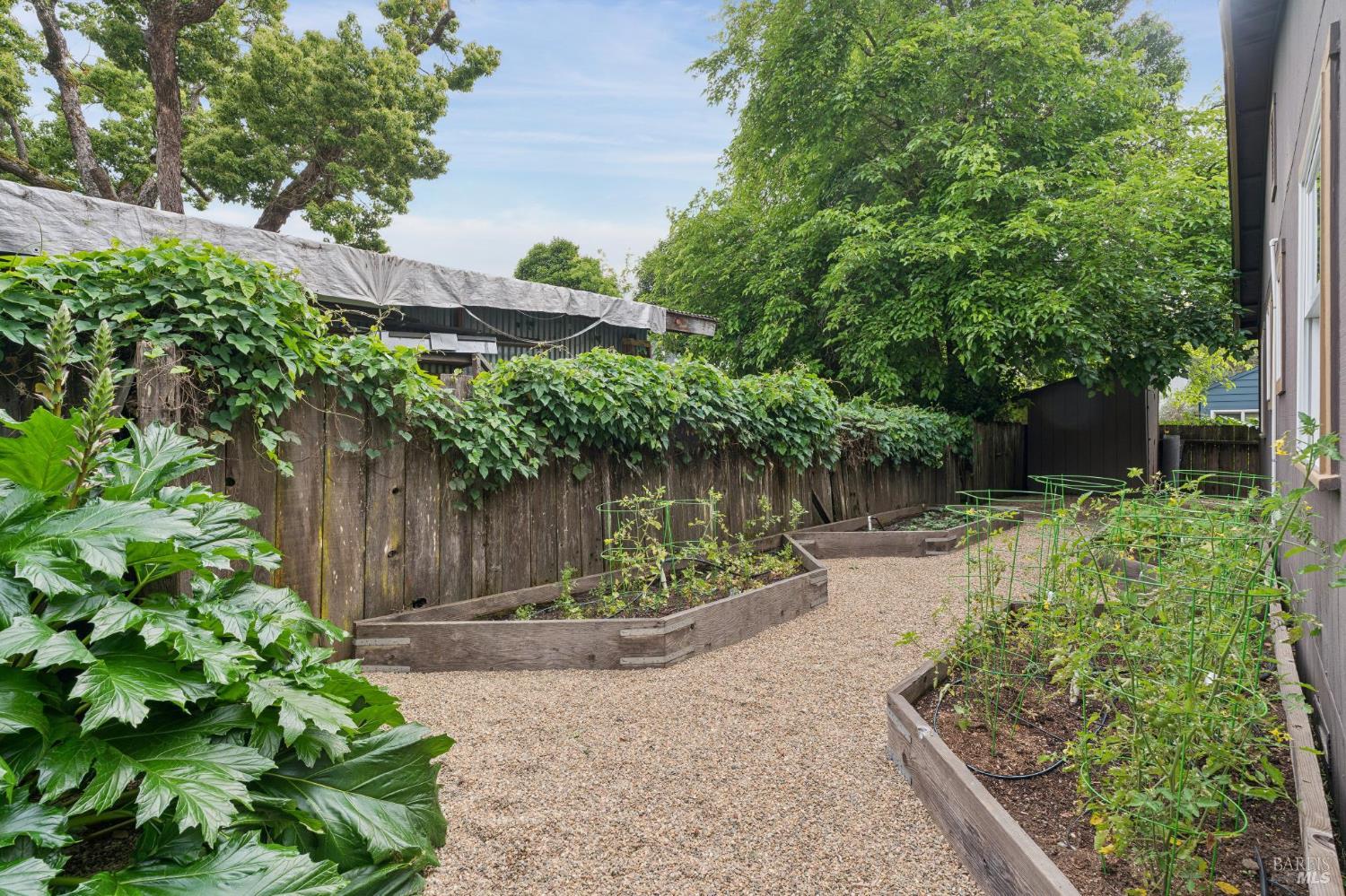 236 Powell Avenue Healdsburg, CA 95448 - Photo 23 of 34