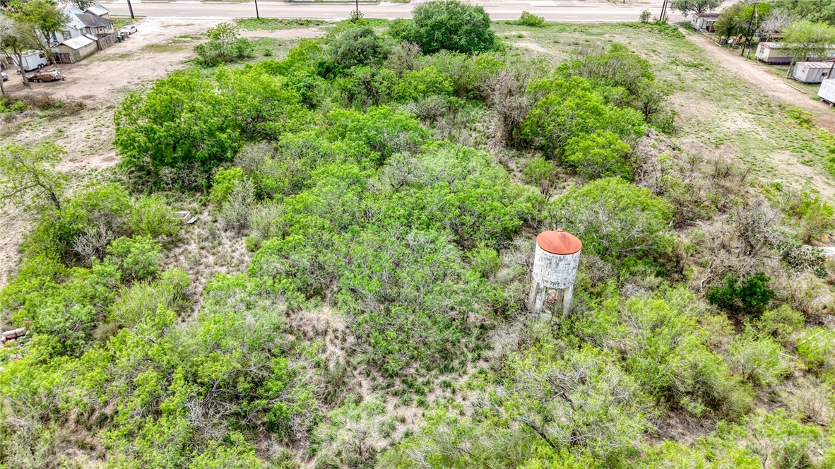 900 North Johnson Street Alice, TX 78332 - Photo 13 of 37 a close up of a white house with a yard and plants