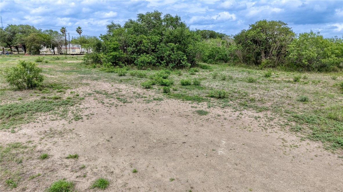 900 North Johnson Street Alice, TX 78332 - Photo 18 of 37 a view of a field with trees in the background