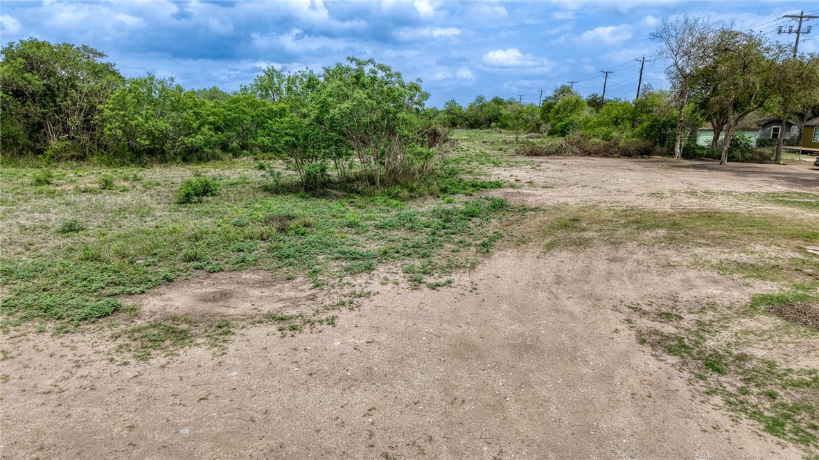 900 North Johnson Street Alice, TX 78332 - Photo 19 of 37 a view of a yard with a tree