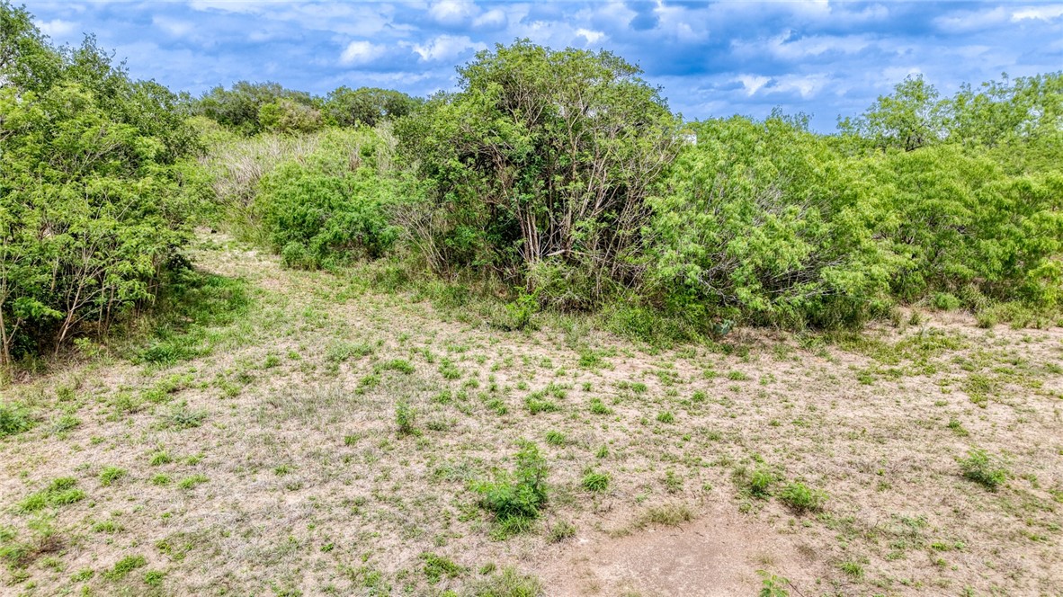 900 North Johnson Street Alice, TX 78332 - Photo 20 of 37 a view of a lush green space