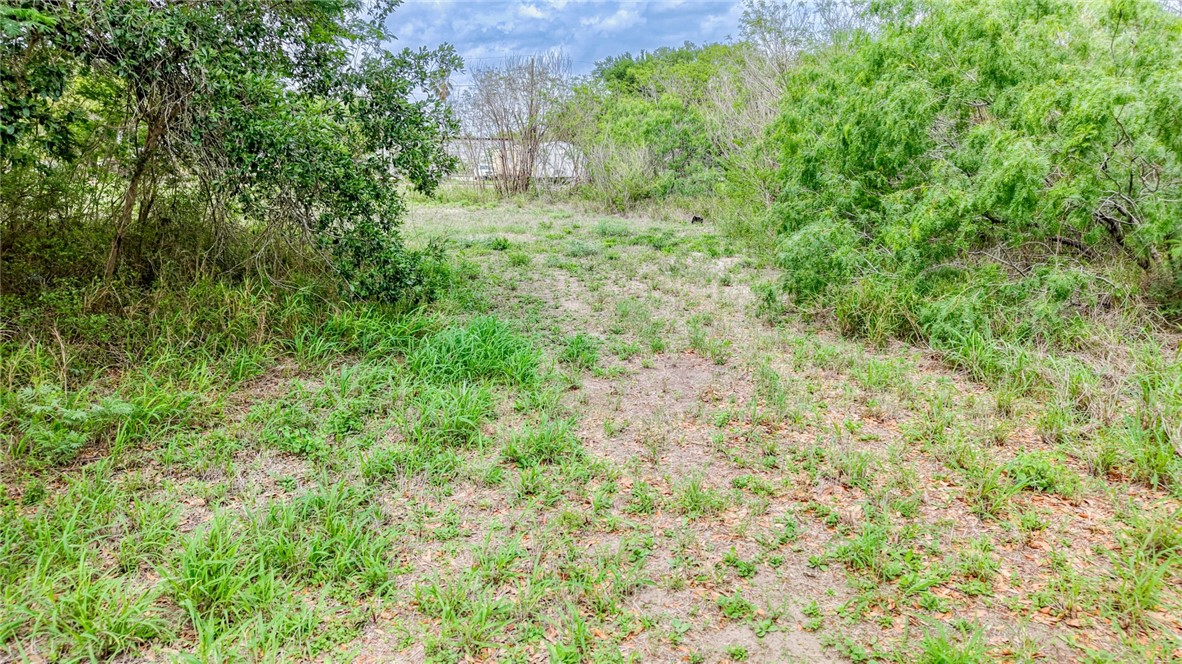900 North Johnson Street Alice, TX 78332 - Photo 21 of 37 a view of a garden