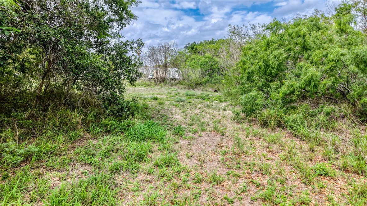 900 North Johnson Street Alice, TX 78332 - Photo 22 of 37 a view of a garden with plants