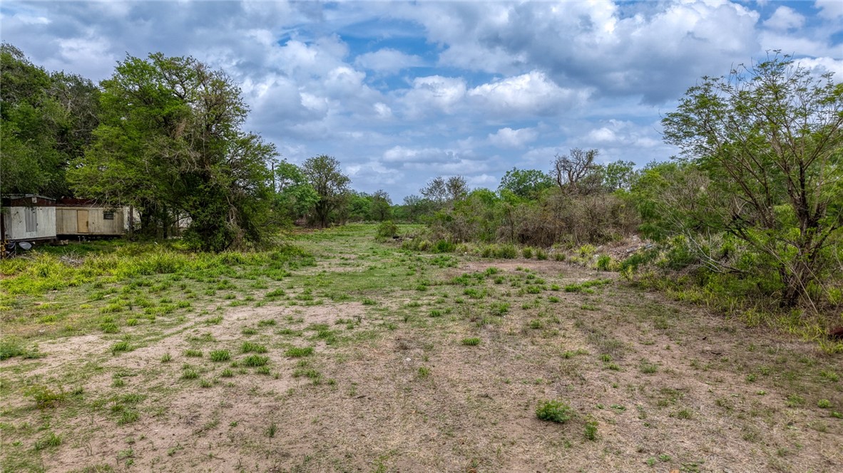900 North Johnson Street Alice, TX 78332 - Photo 24 of 37 a view of a yard with trees