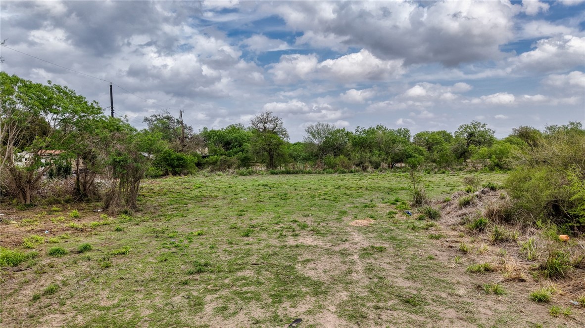 900 North Johnson Street Alice, TX 78332 - Photo 26 of 37 a view of a yard with a tree