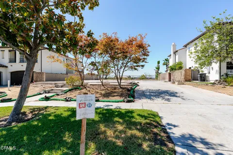 a view of a park with large trees