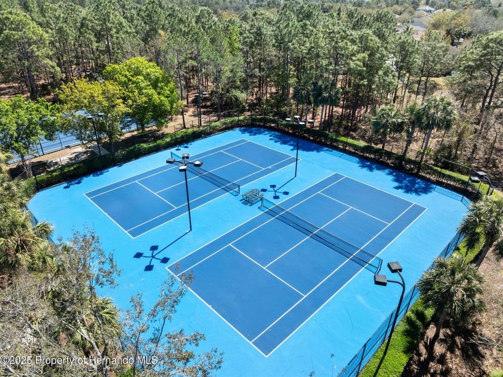 13196 Golden Lime Ave Spring Hill Spring Hill, FL 34609 - Photo 35 of 73 a view of a tennis court
