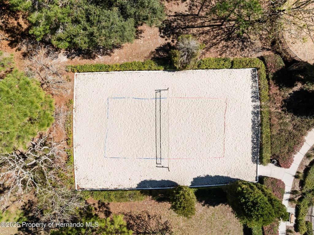 13196 Golden Lime Ave Spring Hill Spring Hill, FL 34609 - Photo 37 of 73 a view of a house with a yard