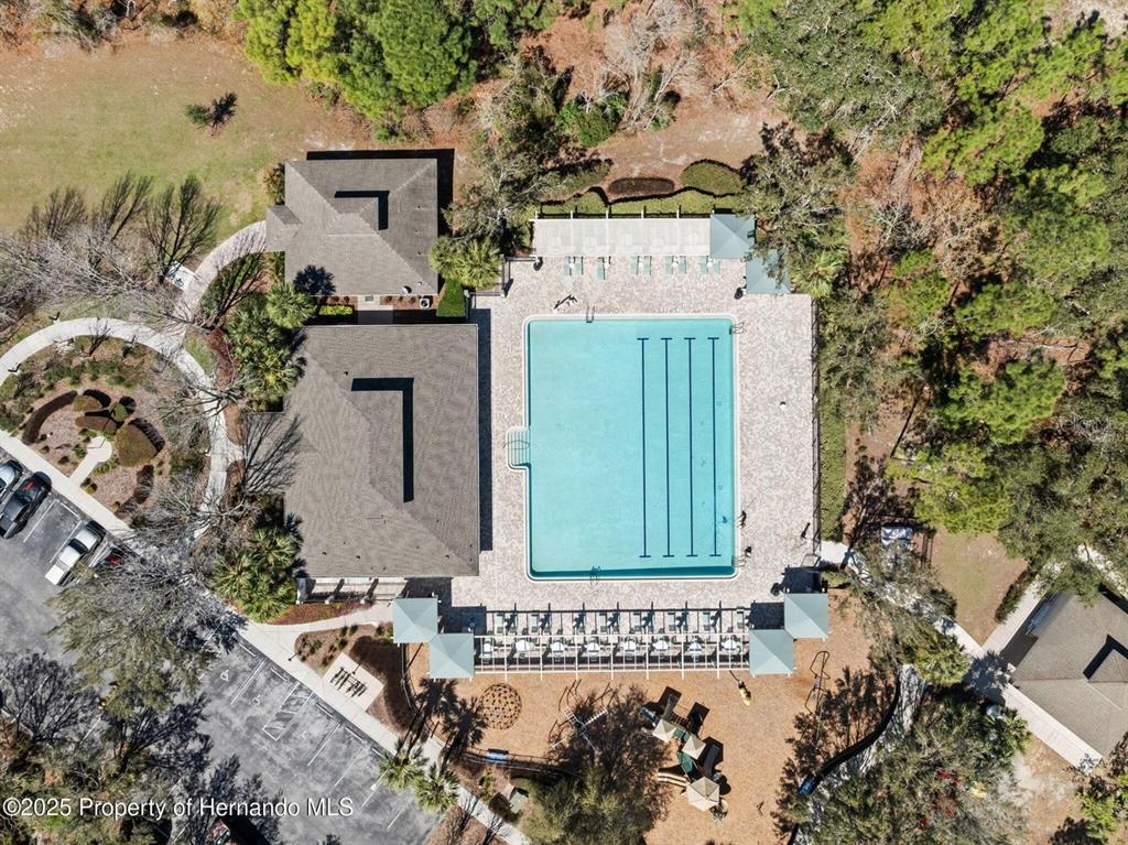 13196 Golden Lime Ave Spring Hill Spring Hill, FL 34609 - Photo 41 of 73