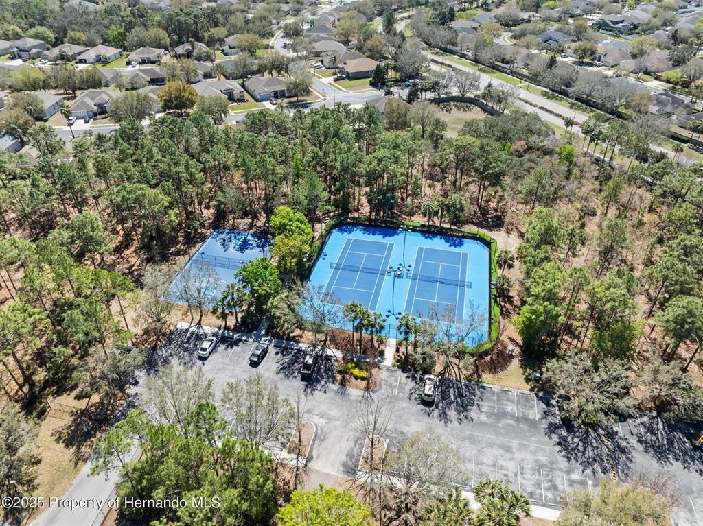 13196 Golden Lime Ave Spring Hill Spring Hill, FL 34609 - Photo 43 of 73 a view of a chair and table and chairs in the garden