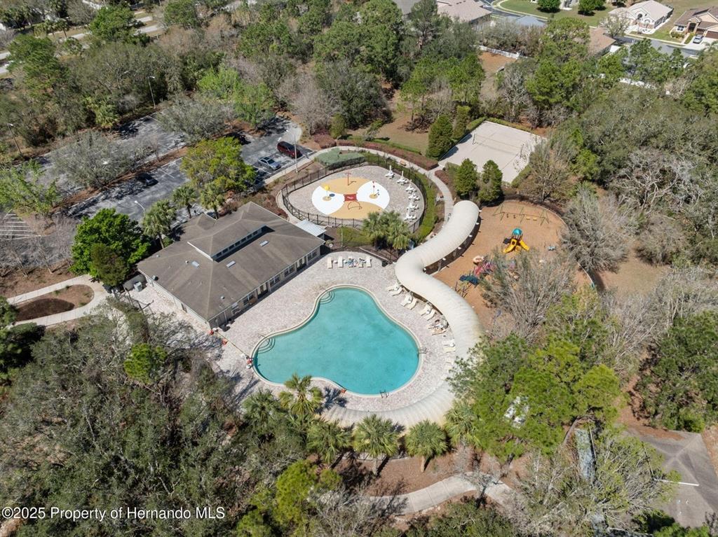 13196 Golden Lime Ave Spring Hill Spring Hill, FL 34609 - Photo 58 of 73