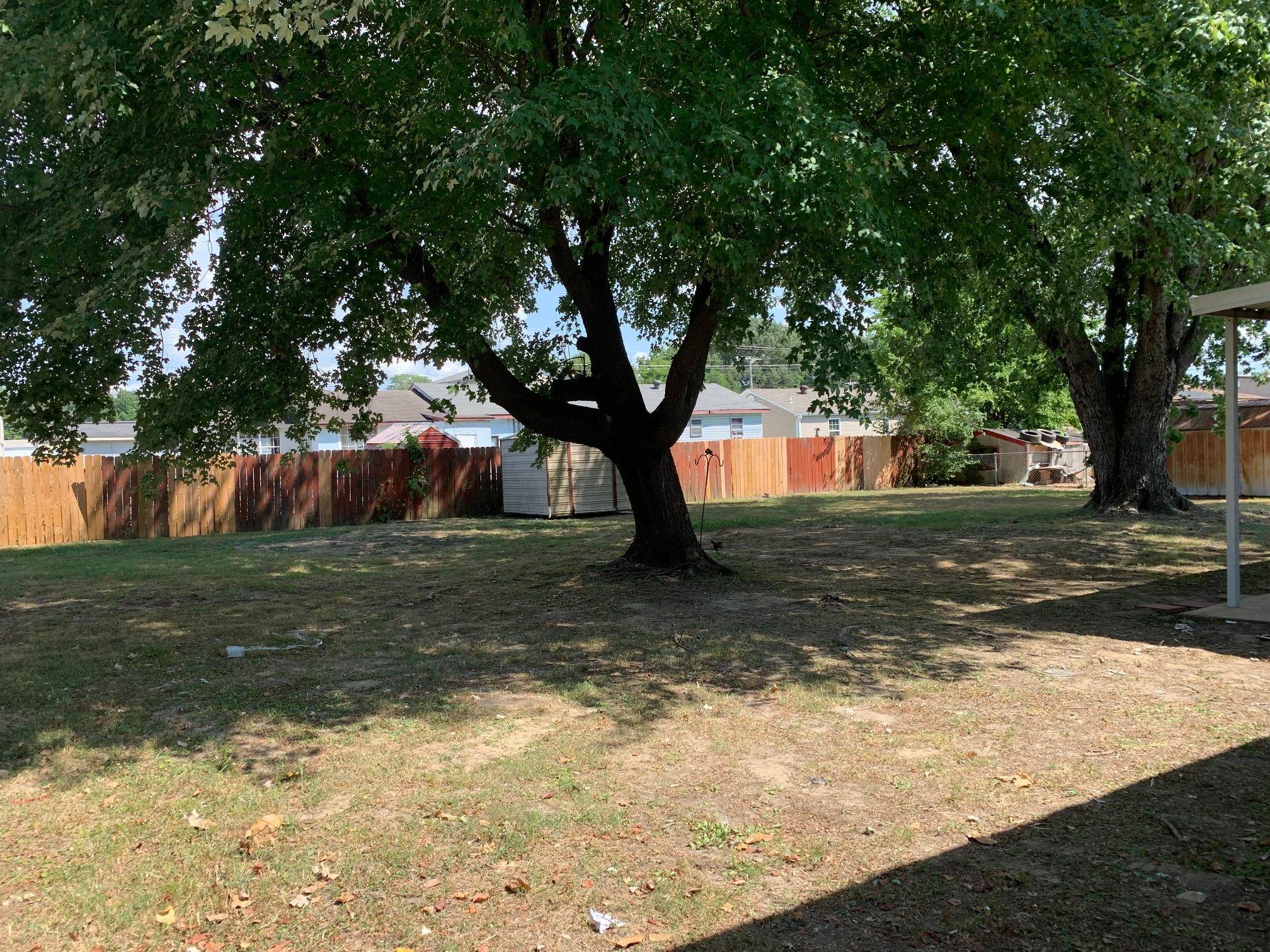334 Sherrin Drive Ripley, TN 38063 - Photo 3 of 19 a view of a yard with large tree
