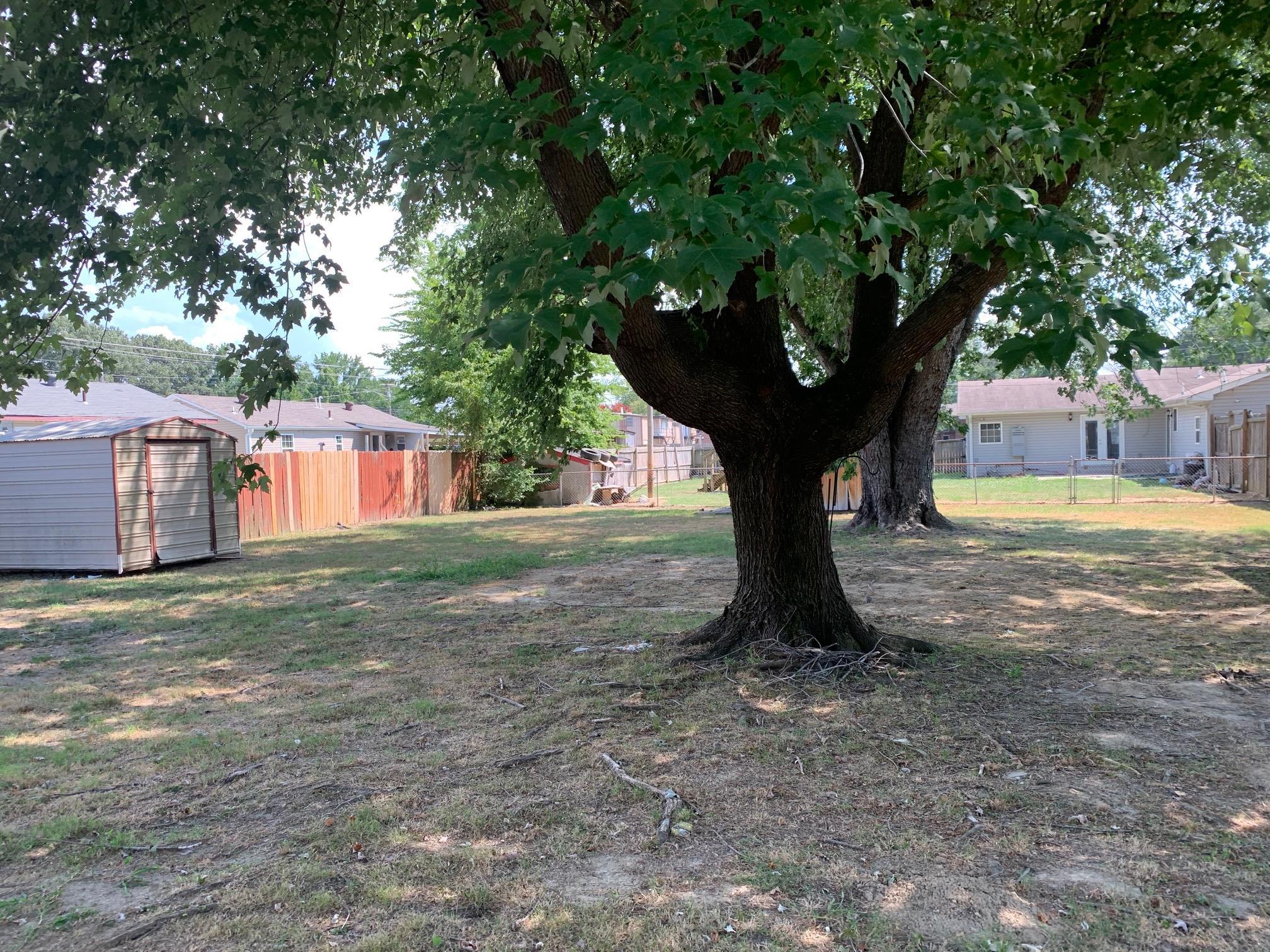 334 Sherrin Drive Ripley, TN 38063 - Photo 4 of 19 a view of a yard with a tree