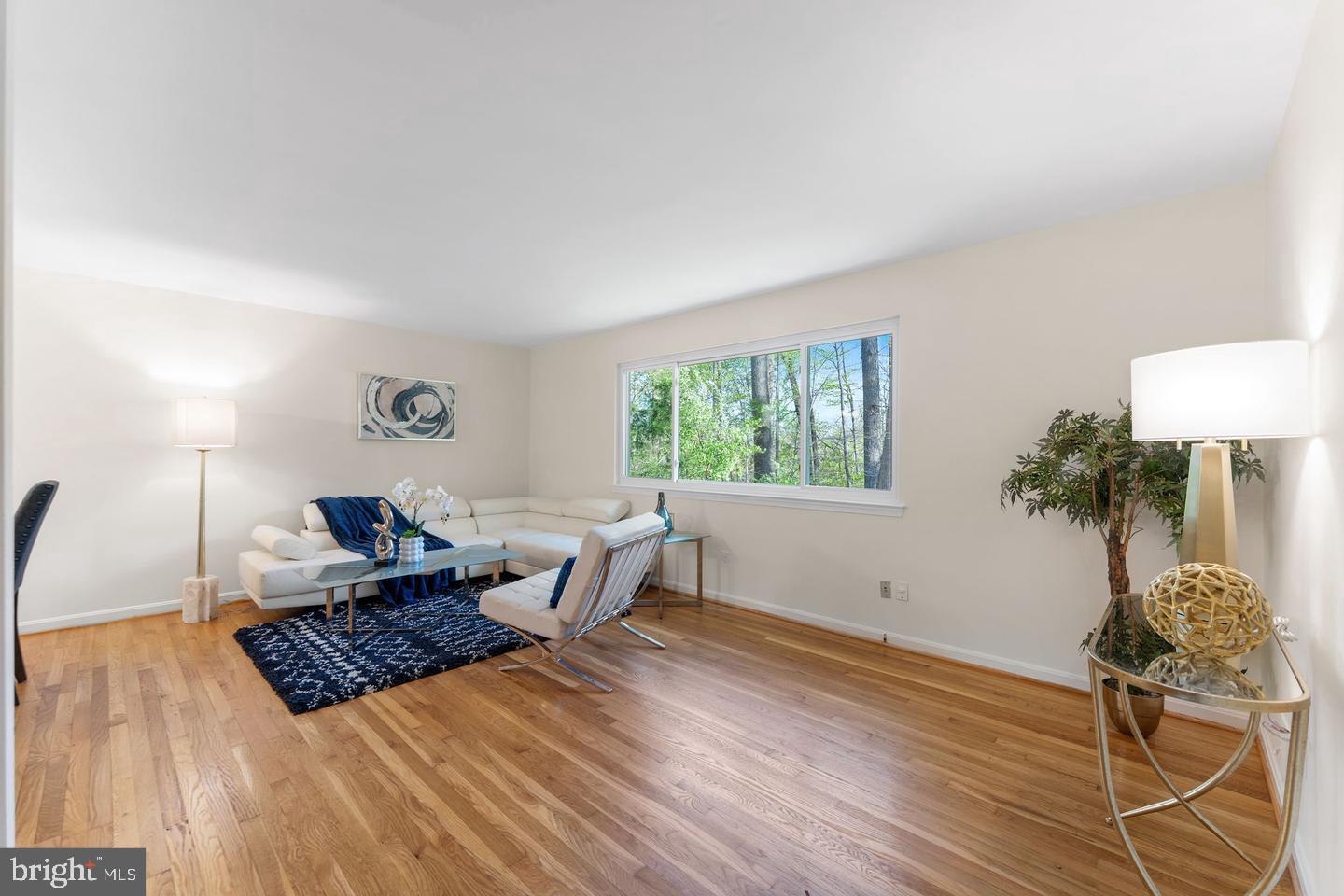 8459 Thames Street Springfield, VA 22151 - Photo 6 of 13