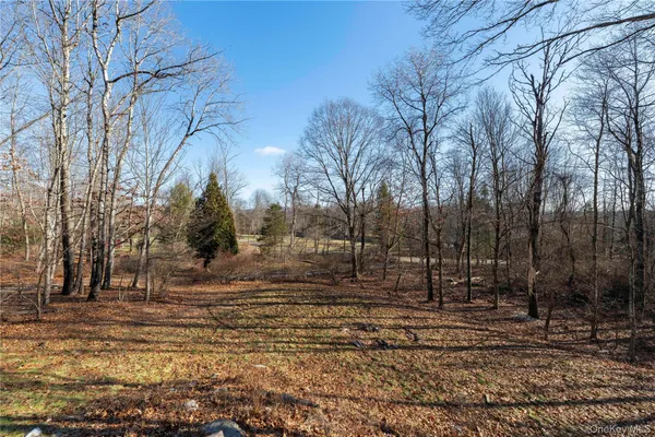 a view of a dry field