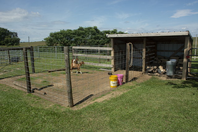 15755 Hillside Road Morrison, IL 61270 - Photo 22 of 26 a view of a child park
