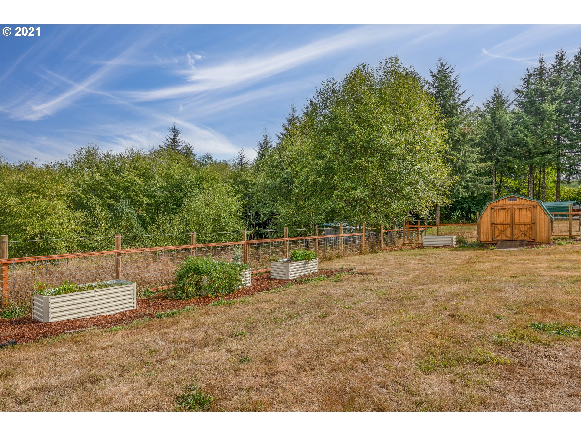 280 Cedar Hills Road Longview, WA 98632 - Photo 29 of 32 a backyard of a house with lots of green space